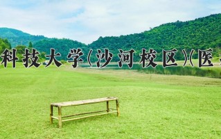 2025年电子科技大学(沙河校区)(医护类)在四川计划招生人数（附学费及专业录取分)