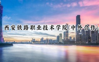2024西安铁路职业技术学院(中外合作)录取分数线：陕西最低376分