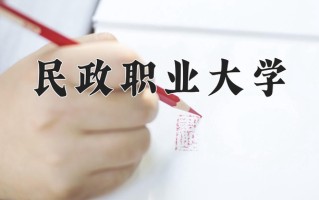 2025年民政职业大学在四川计划招生人数（附学费及专业录取分)