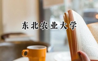 东北农业大学2024在江苏录取分数线是多少？最低574分/最高595分