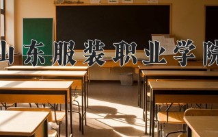 2025年山东服装职业学院在四川计划招生人数（附学费及专业录取分)