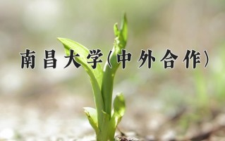 2025年南昌大学(中外合作)在四川计划招生人数（附学费及专业录取分)