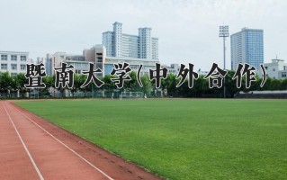 2025年暨南大学(中外合作)在四川计划招生人数（附学费及专业录取分)