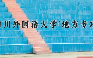 2024四川外国语大学(地方专项)录取分数线，重庆录取最低分491