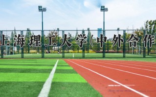 2025年上海理工大学(中外合作)在四川计划招生人数（附学费及专业录取分)