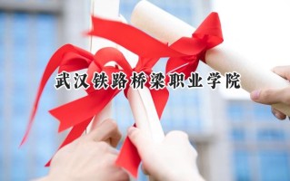 2024武汉铁路桥梁职业学院录取分数线：山西最低360分