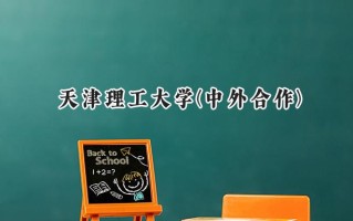 2024天津理工大学(中外合作)录取分数线：河南最低519分