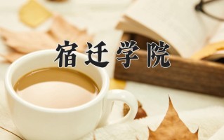 宿迁学院怎么样？全国排名第几位