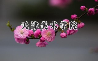 天津美术学院2024在浙江录取分数线是多少？最低586分/最高595分