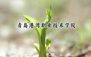 2024青岛港湾职业技术学院录取分数线：天津最低238分