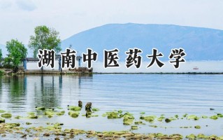 湖南中医药大学2024在上海录取分数线是多少？最低466分/最高524分