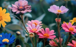 中国医药类大学前三十强排行榜（校友会2025最新医药类大学排名）