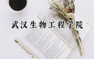 武汉生物工程学院2024在内蒙古录取分数线是多少？最低241分/最高416分