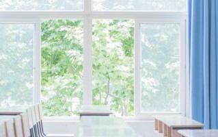 辽宁省2025年艺考各专业统考合格线和艺考成绩公布