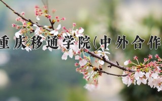 2024重庆移通学院(中外合作)录取分数线，重庆录取最低分431