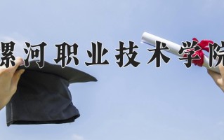 辽宁考生多少分能上漯河职业技术学院？2025最低273分