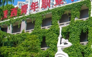 2025年陕西青年职业学院在广东计划招生人数（附学费及专业录取分）