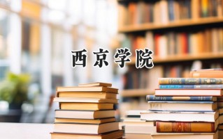 西京学院2024在浙江录取分数线是多少？最低470分/最高544分