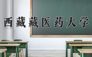 西藏藏医药大学怎么样？全国排名第几位