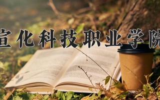2025年宣化科技职业学院在四川计划招生人数（附学费及专业录取分)