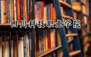 四川科技职业学院2024在青海录取分数线是多少？最低232分/最高264分