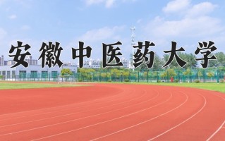 安徽中医药大学一年学费多少钱及各专业的收费标准(2025参考）