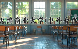 2024年天津商业大学(中外合作)录取分数线，内蒙古最低500分