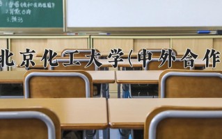 2025年北京化工大学(中外合作)在四川计划招生人数（附学费及专业录取分)