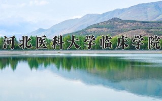 2024年河北医科大学临床学院录取分数线，新疆最低375分