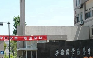 2024安徽医学高等专科学校录取分数线，重庆录取最低分406