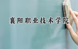 襄阳职业技术学院2024在内蒙古录取分数线是多少？最低276分/最高352分
