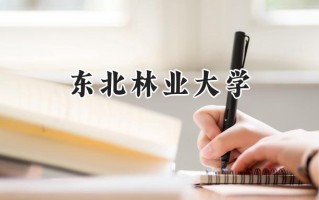 东北林业大学2024在浙江录取分数线是多少？最低583分/最高641分