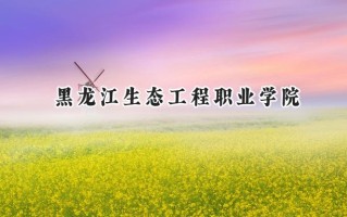 2024黑龙江生态工程职业学院录取分数线：河南最低209分