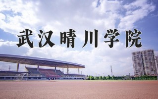 2024年武汉晴川学院录取分数线，新疆最低284分