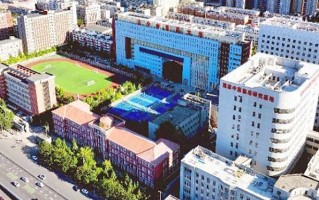 2024辽宁中医药大学录取分数线，重庆录取最低分517