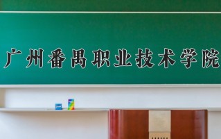 会计信息管理专业2025年广东招生院校有哪些？含学费及招生人数