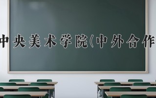 2024中央美术学院(中外合作)录取分数线，重庆录取最低分528