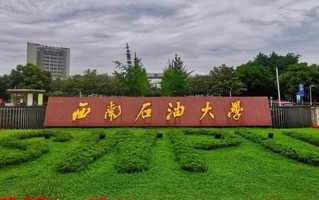 西南石油大学2025年本科招生章程（含招生计划及录取规则）