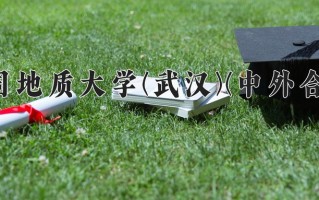 2024中国地质大学(武汉)(中外合作)录取分数线，重庆录取最低分551
