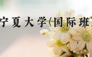 宁夏514分能上什么大学？附2025年可以报考的大学名单