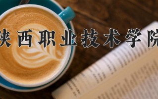 2025年陕西职业技术学院在四川计划招生人数（附学费及专业录取分)