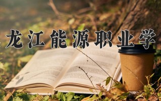 2025年黑龙江能源职业学院在四川计划招生人数（附学费及专业录取分)