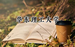 2024华东理工大学录取分数线：陕西最低600分