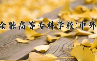2024年长春金融高等专科学校(中外合作)录取分数线，新疆最低180分