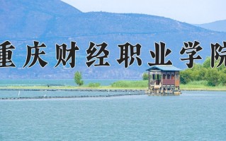 2025年重庆财经职业学院在四川计划招生人数（附学费及专业录取分)