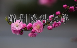 锦州医科大学一年学费多少钱及各专业的收费标准(2025参考）