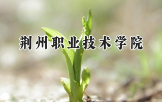 荆州职业技术学院2024在山东录取分数线是多少？最低369分/最高437分