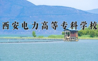 2024年西安电力高等专科学校录取分数线，新疆最低284分