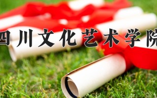 四川文化艺术学院王牌专业排名-含2025年全国各省录取最低分数线