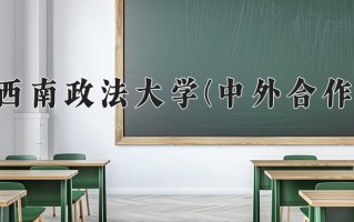 2025年西南政法大学(中外合作)在四川计划招生人数（附学费及专业录取分)